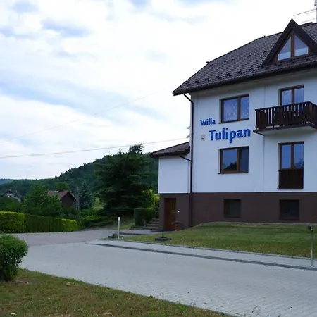 Guest house Tulipan