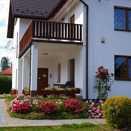 Tulipan Kamienica (Limanowa)
